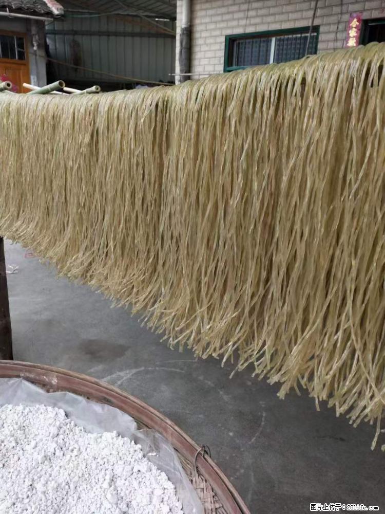 【灌阳正宗红薯粉】美女家里自己做的，干净卫生，假一赔十，价格合理，抢购电话：13737312895 - 美食天地 - 莱芜生活社区 - 莱芜28生活网 lw.28life.net