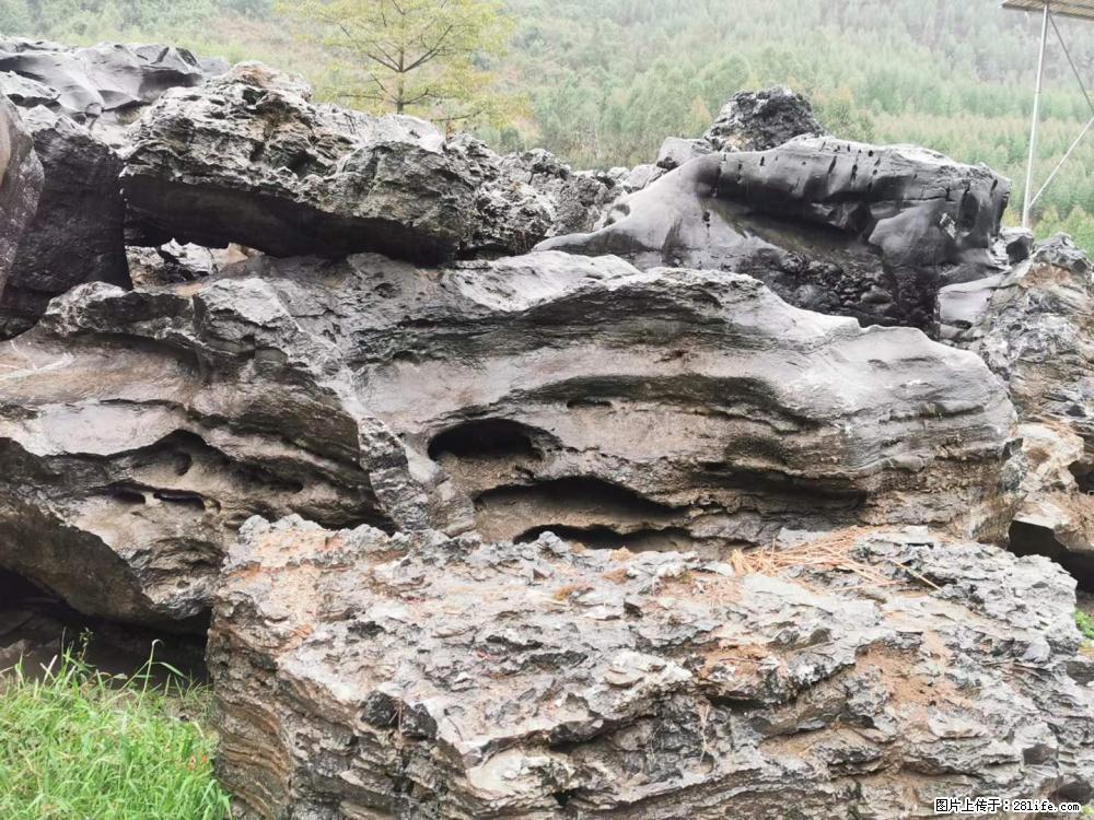 风景石、假山石大量有货，有需要的欢迎联系 - 新手上路 - 莱芜生活社区 - 莱芜28生活网 lw.28life.net