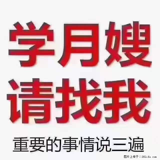 为什么要学习月嫂，育婴师？ - 其他广告 - 广告专区 - 莱芜分类信息 - 莱芜28生活网 lw.28life.net