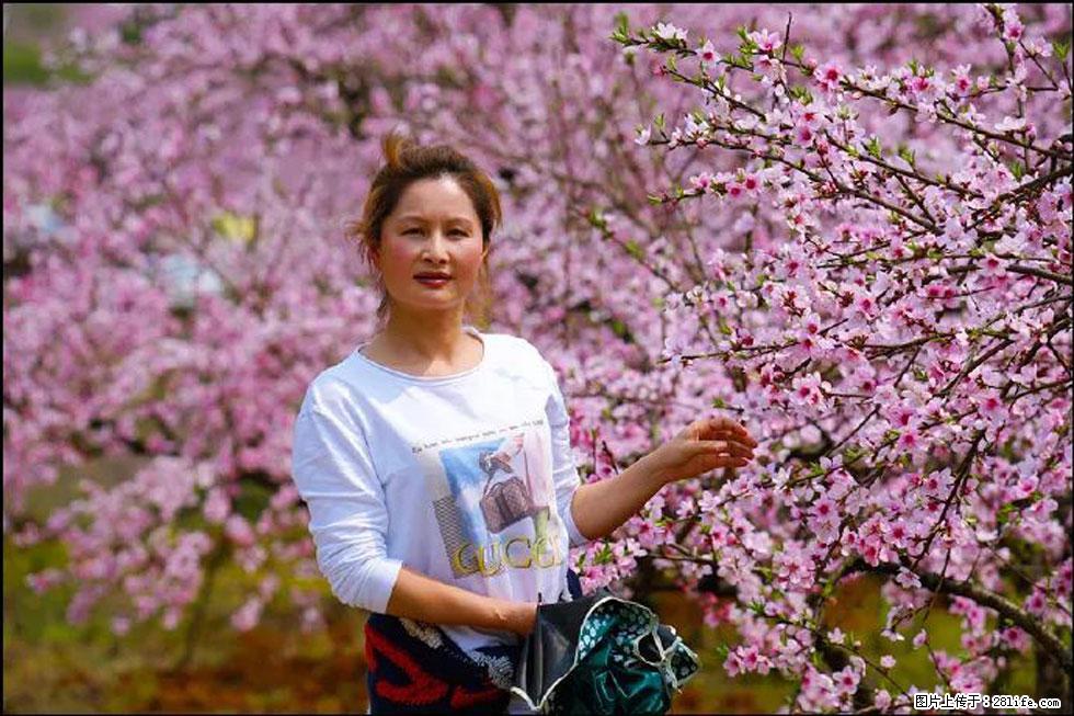 【春天，广西桂林灌阳县向您发出邀请！】官庄村有个醉美的桃花园 - 游山玩水 - 莱芜生活社区 - 莱芜28生活网 lw.28life.net