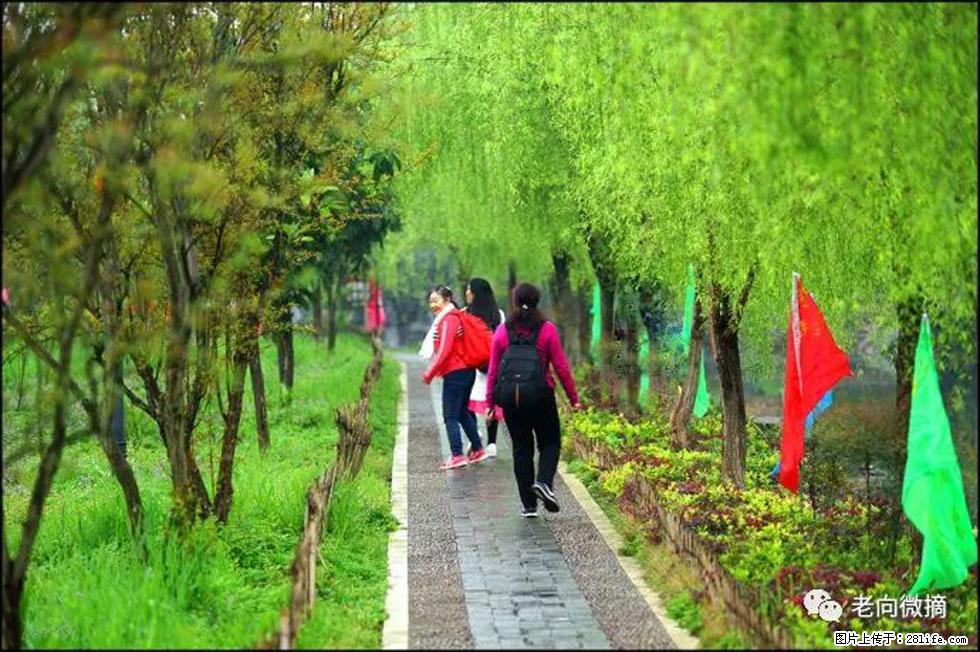 【春天，广西桂林灌阳县向您发出邀请！】江口老街又逢春 - 游山玩水 - 莱芜生活社区 - 莱芜28生活网 lw.28life.net
