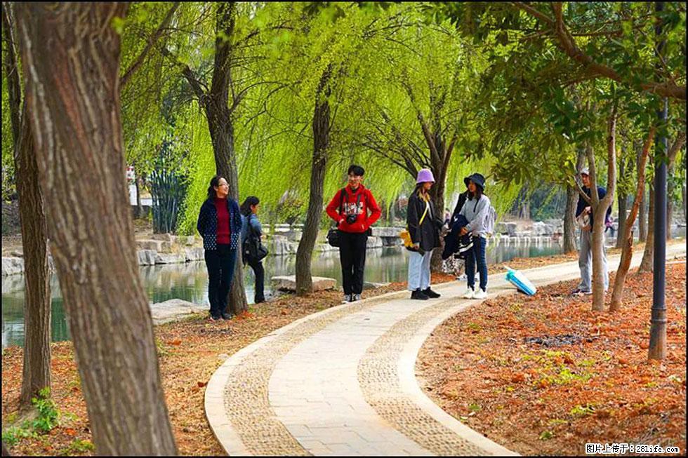 【春天，广西桂林灌阳县向您发出邀请！】江口老街又逢春 - 游山玩水 - 莱芜生活社区 - 莱芜28生活网 lw.28life.net