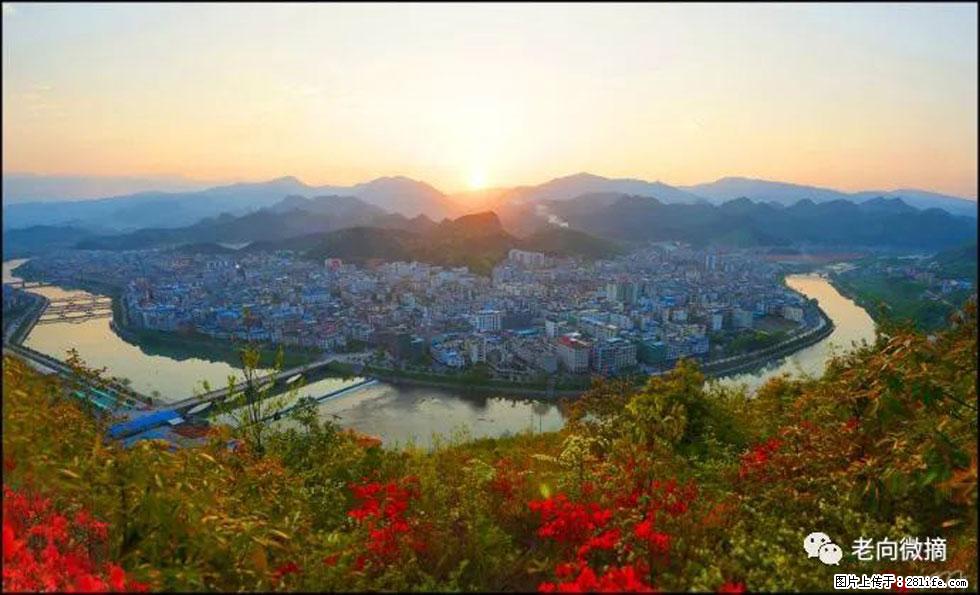 【春天，广西桂林灌阳县向您发出邀请！】登麒麟山，相约映山红 - 游山玩水 - 莱芜生活社区 - 莱芜28生活网 lw.28life.net