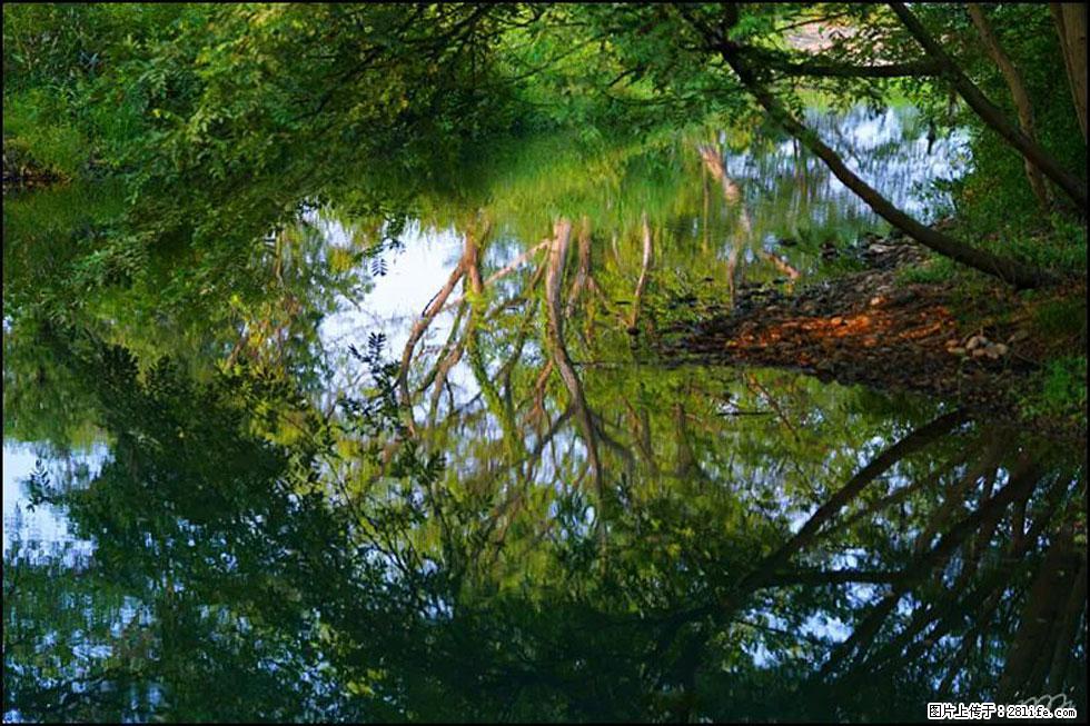 【春天，广西桂林灌阳县向您发出邀请！】熊家寨湿地公园 - 游山玩水 - 莱芜生活社区 - 莱芜28生活网 lw.28life.net