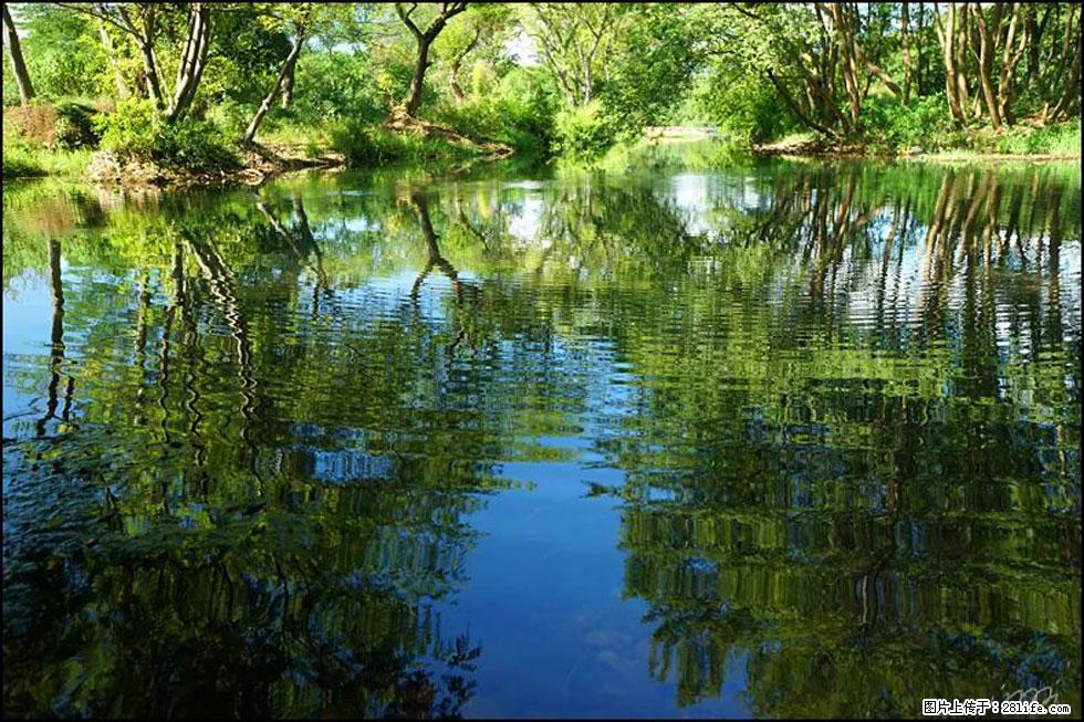 【春天，广西桂林灌阳县向您发出邀请！】熊家寨湿地公园 - 游山玩水 - 莱芜生活社区 - 莱芜28生活网 lw.28life.net