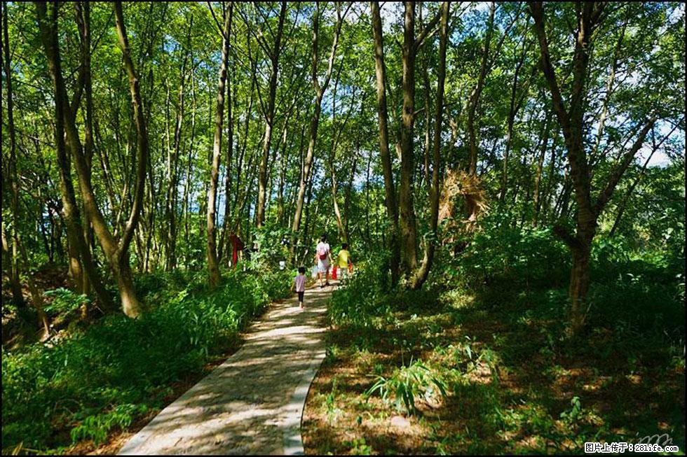 【春天，广西桂林灌阳县向您发出邀请！】熊家寨湿地公园 - 游山玩水 - 莱芜生活社区 - 莱芜28生活网 lw.28life.net