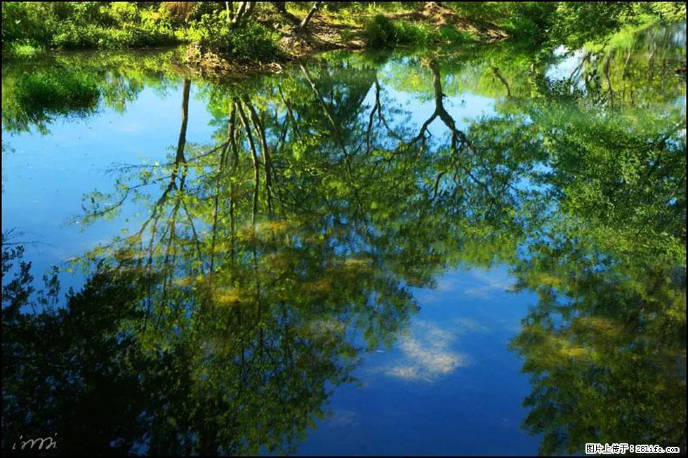 【春天，广西桂林灌阳县向您发出邀请！】熊家寨湿地公园 - 游山玩水 - 莱芜生活社区 - 莱芜28生活网 lw.28life.net