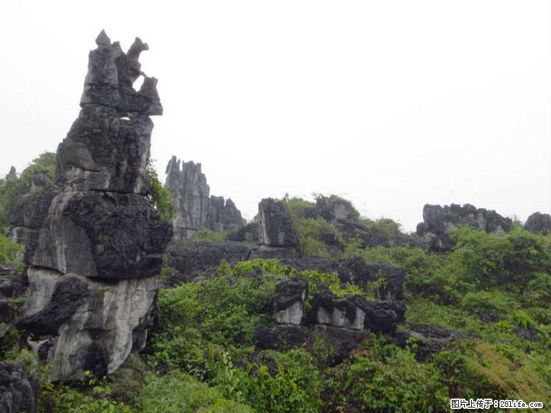 桂林旅游名城景点：灌阳文市石林 - 游山玩水 - 莱芜生活社区 - 莱芜28生活网 lw.28life.net