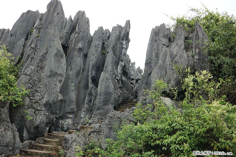 桂林旅游名城景点：灌阳文市石林 - 游山玩水 - 莱芜生活社区 - 莱芜28生活网 lw.28life.net
