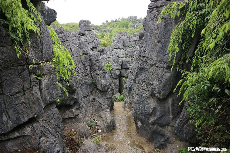 桂林旅游名城景点：灌阳文市石林 - 游山玩水 - 莱芜生活社区 - 莱芜28生活网 lw.28life.net