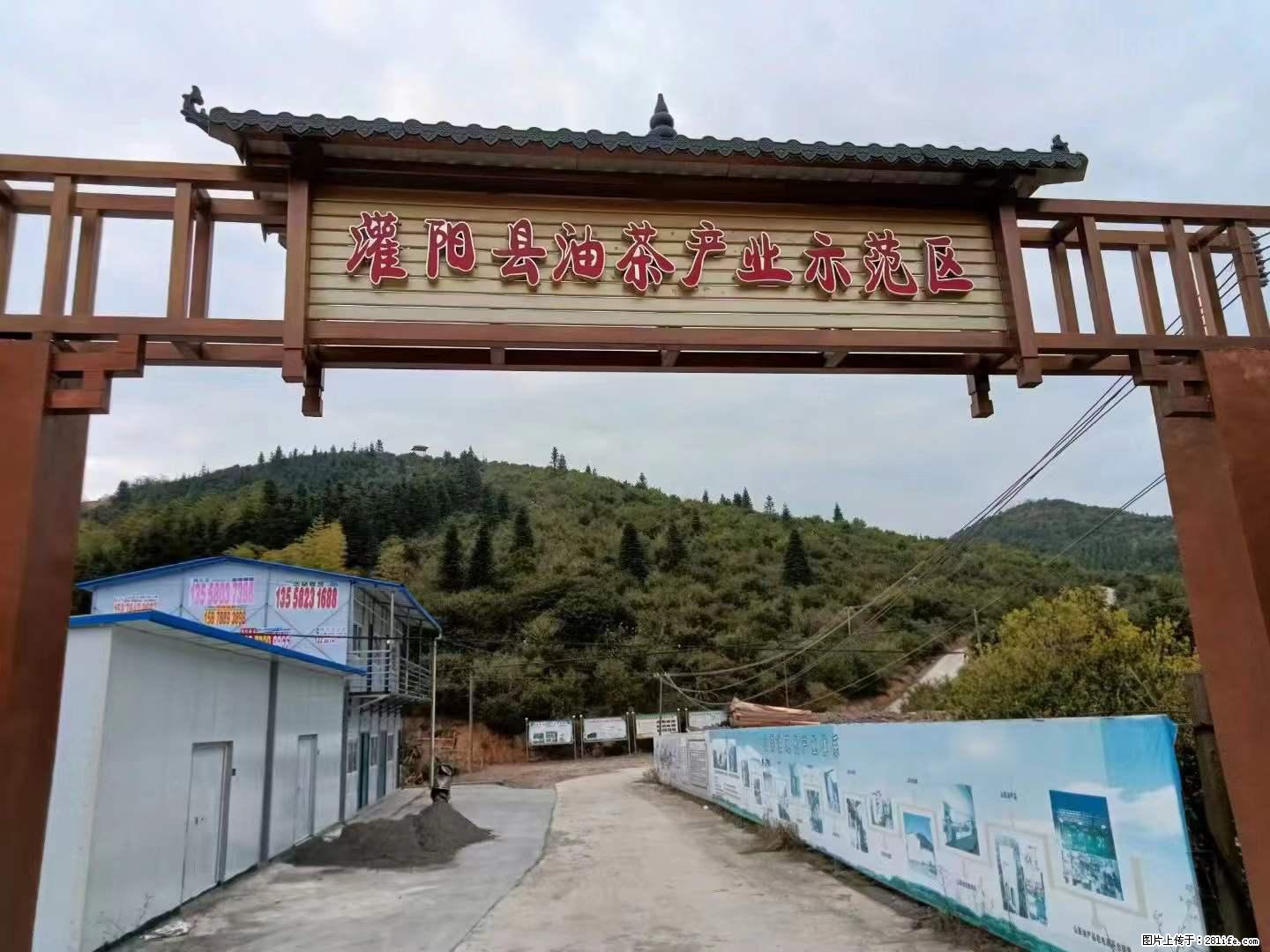 【灌阳县油茶产业示范区】一个有着充实的精神生活的人，对待身外之物自会有一种淡泊的态度 - 美食天地 - 莱芜生活社区 - 莱芜28生活网 lw.28life.net