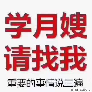为什么要学习月嫂，育婴师？ - 莱芜28生活网 lw.28life.net