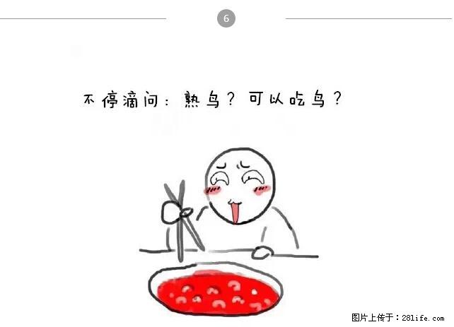 千万不要和这9种哈卵一起吃火锅！ - 美食天地 - 莱芜生活社区 - 莱芜28生活网 lw.28life.net