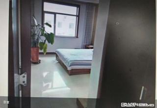 全新家具家电 XX出租 拎包即住 - 莱芜28生活网 lw.28life.net