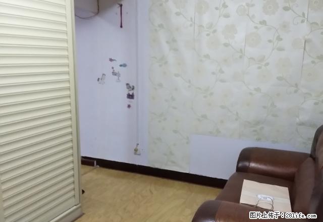 花园学校附近戴花园一室一厅精装修出租 - 房屋出租 - 房屋租售 - 莱芜分类信息 - 莱芜28生活网 lw.28life.net