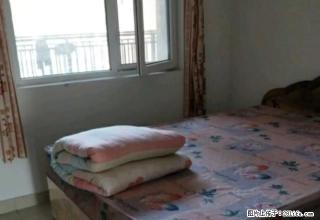 天晟上府，中心小学附近，电梯房。暖气，天然气，精装 - 莱芜28生活网 lw.28life.net