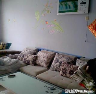 出租师骧园 精装修 家具家电齐全 拎包入住 - 莱芜28生活网 lw.28life.net