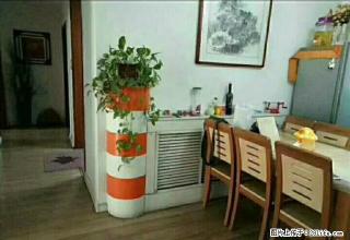 裕丰花园，裕丰小学西家具家电齐全，双气 拎包入住700/月 - 莱芜28生活网 lw.28life.net