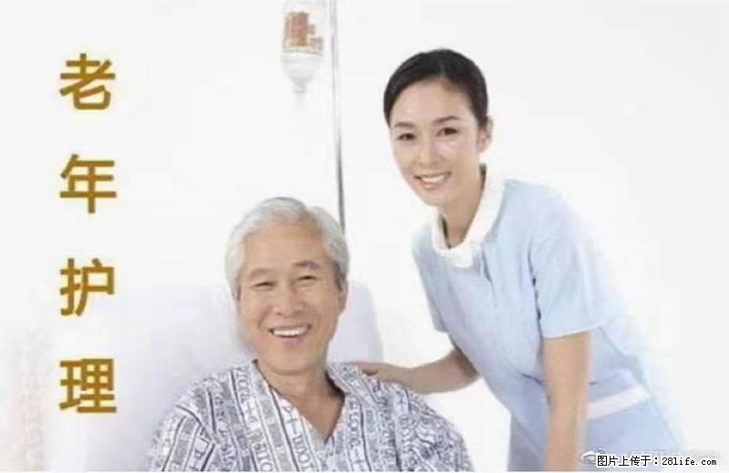 上海国企养老院，星级酒店环境，招聘养老护工 - 职场交流 - 莱芜生活社区 - 莱芜28生活网 lw.28life.net
