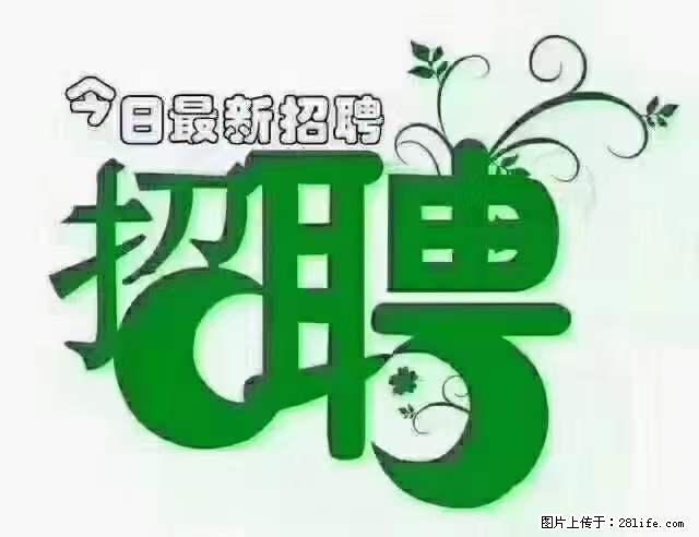 【招聘摄像师】待遇：试用期6000元/月，转正7000元/月+五险一金+餐补+节日福利+奖金 - 其他招聘信息 - 招聘求职 - 莱芜分类信息 - 莱芜28生活网 lw.28life.net
