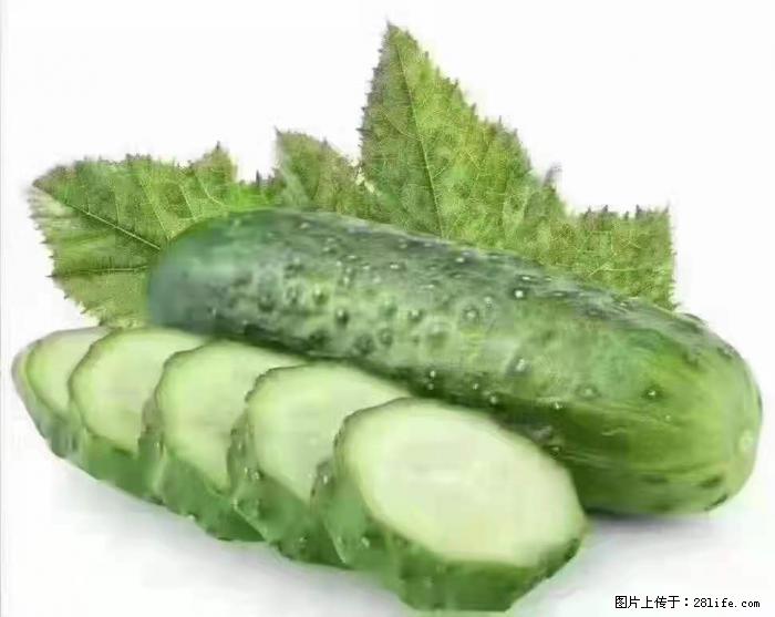 【生活小常识】吃黄瓜的好处 - 生活百科 - 莱芜生活社区 - 莱芜28生活网 lw.28life.net