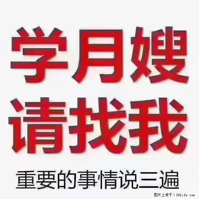 【招聘】月嫂，上海徐汇区 - 职场交流 - 莱芜生活社区 - 莱芜28生活网 lw.28life.net