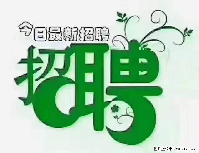 上海青浦区招仓管 - 职场交流 - 莱芜生活社区 - 莱芜28生活网 lw.28life.net
