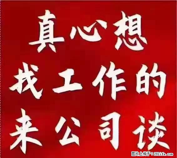 【上海】国企，医院招两名男保安，55岁以下，身高1.7米以上，无犯罪记录不良嗜好 - 职场交流 - 莱芜生活社区 - 莱芜28生活网 lw.28life.net