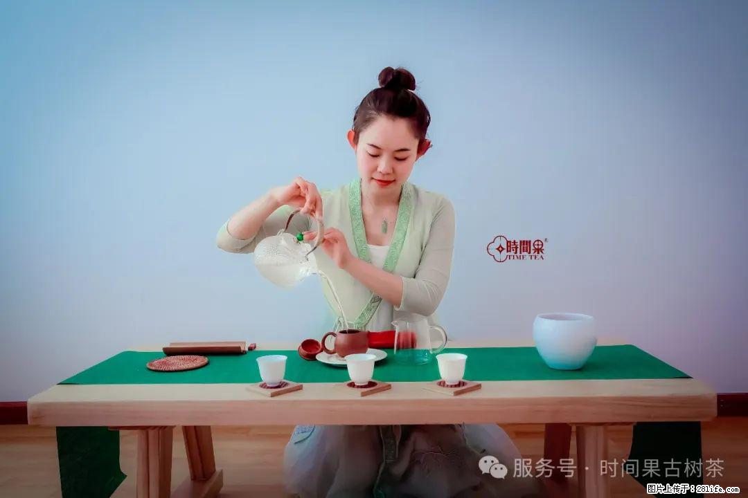时间果百年古树龙珠普洱生茶 - 购物交流 - 莱芜生活社区 - 莱芜28生活网 lw.28life.net
