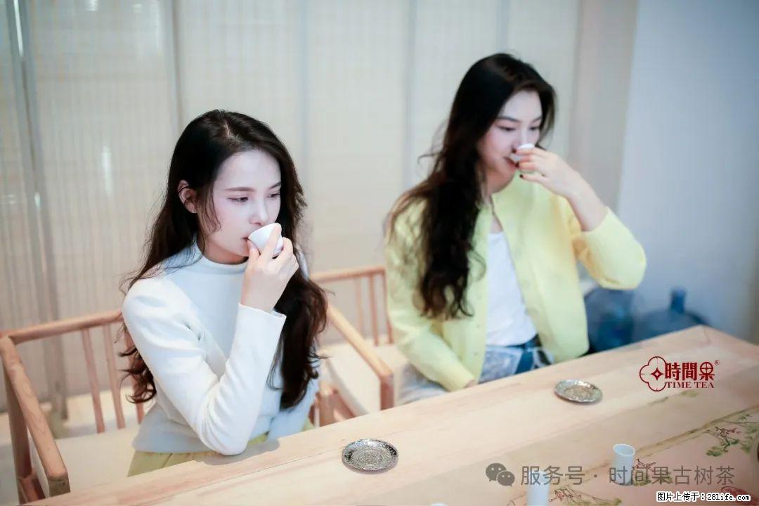 时间果百年古树龙珠普洱生茶 - 购物交流 - 莱芜生活社区 - 莱芜28生活网 lw.28life.net