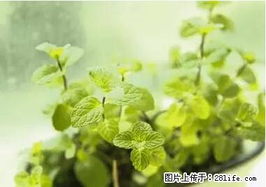 晕车、脚气、牙齿变黄、皮肤粗糙？学会这些三分钟搞定！ - 莱芜生活资讯 - 莱芜28生活网 lw.28life.net