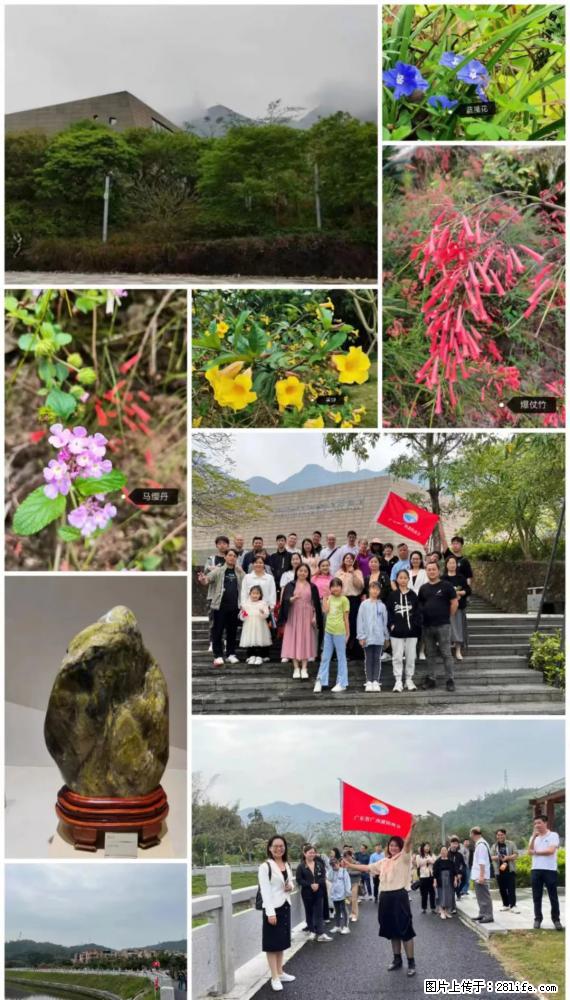 “粤灌文化 美好生活”油茶文化主题活动在广东深圳成功举办 - 莱芜生活资讯 - 莱芜28生活网 lw.28life.net