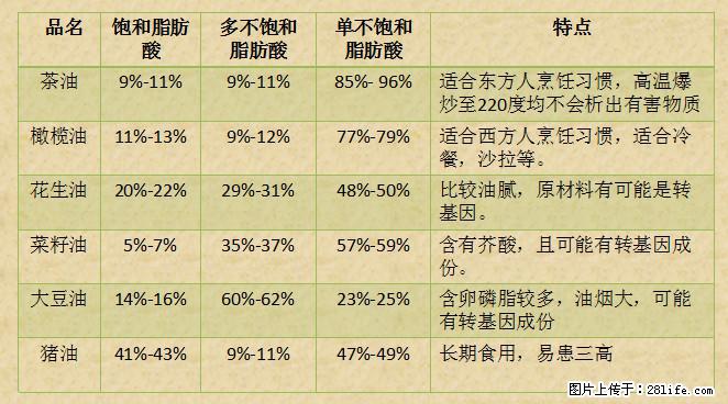揭秘茶油的5大核心营养成分！被称为人体健康的“守护盾”！ - 莱芜生活资讯 - 莱芜28生活网 lw.28life.net