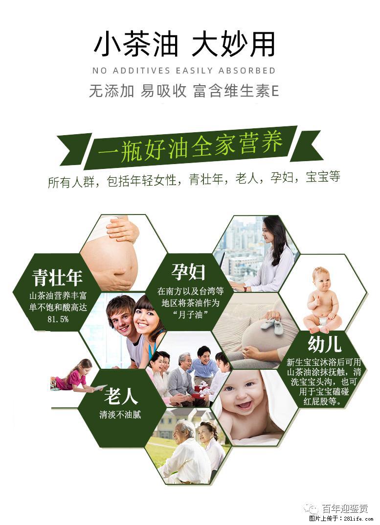 世界没有真相，只有认知，最好的食用油是中国的山茶油！ - 莱芜生活资讯 - 莱芜28生活网 lw.28life.net
