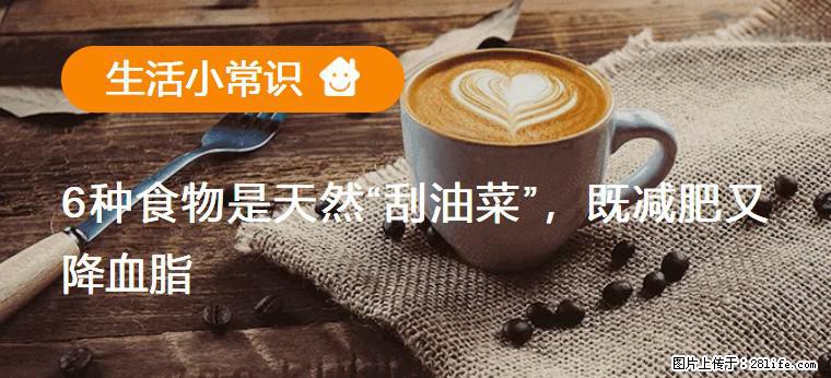 【生活小常识】6种食物是天然“刮油菜”，既减肥又降血脂 - 莱芜生活资讯 - 莱芜28生活网 lw.28life.net