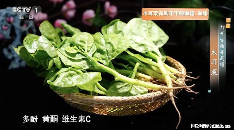 比牛奶补钙还厉害！凉血解毒、稳血糖...这菜冬天必吃，很多人却当草 - 莱芜生活资讯 - 莱芜28生活网 lw.28life.net