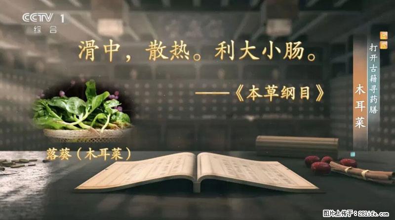 比牛奶补钙还厉害！凉血解毒、稳血糖...这菜冬天必吃，很多人却当草 - 莱芜生活资讯 - 莱芜28生活网 lw.28life.net